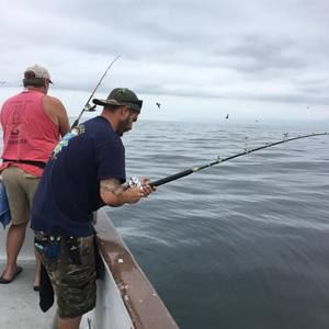 Meet your Posher, Kenny